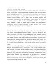 Čigonų padėtis Lietuvoje socialinė charakteristika 9 puslapis