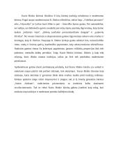 Kazys Binkis – tarp tradicijos ir modernaus poetinio kalbėjimo 2 puslapis