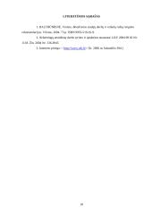 Darbo ir civilinė sauga: elektrikas 17 puslapis