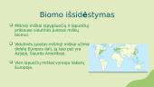 Biomai. Mišrieji miškai 3 puslapis