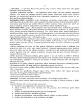 Darbo paieška 11 puslapis