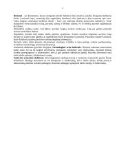 Darbo paieška 3 puslapis