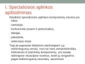 Įmonės strategijos formavimas, verslo aplinka 17 puslapis