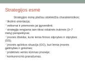 Įmonės strategijos formavimas, verslo aplinka 3 puslapis