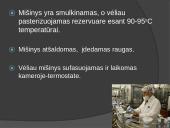Kaip gaminamas fermentinis sūris ir jogurtas 11 puslapis