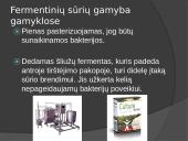 Kaip gaminamas fermentinis sūris ir jogurtas 4 puslapis