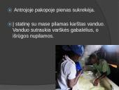 Kaip gaminamas fermentinis sūris ir jogurtas 5 puslapis