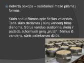 Kaip gaminamas fermentinis sūris ir jogurtas 6 puslapis