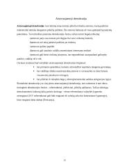 Pagrindiniai demokratijos bruožai 11 puslapis