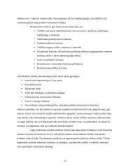 Pagrindiniai demokratijos bruožai 13 puslapis