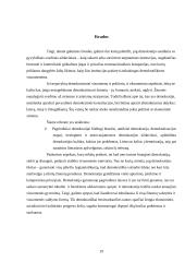 Pagrindiniai demokratijos bruožai 19 puslapis