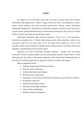 Pagrindiniai demokratijos bruožai 3 puslapis