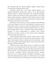 Demokratija ir jos interpretacijos 3 puslapis