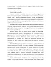 Demokratija ir jos interpretacijos 4 puslapis