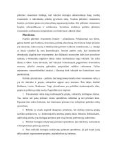 Demokratija ir jos interpretacijos 6 puslapis