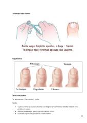 Gulinčio paciento priežiūra ir slauga namuose 14 puslapis
