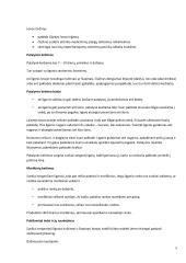 Gulinčio paciento priežiūra ir slauga namuose 5 puslapis