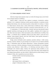 Karjeros planavimo ir jos realizavimo galimybių vertinimas Visagino savivaldybės administracijoje 12 puslapis