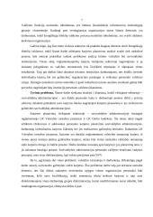 Karjeros planavimo ir jos realizavimo galimybių vertinimas Visagino savivaldybės administracijoje 5 puslapis