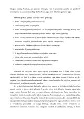 Džilbretai 10 puslapis