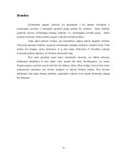 Ekonomikos augimo veiksniai bei ekonominės krizės 19 puslapis