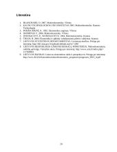 Ekonomikos augimo veiksniai bei ekonominės krizės 20 puslapis