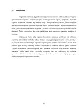 Ekonomikos augimo veiksniai bei ekonominės krizės 10 puslapis