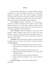 Virtuali finansinė institucija - elektroninė bankininkystė