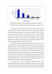 Virtuali finansinė institucija - elektroninė bankininkystė 4 puslapis