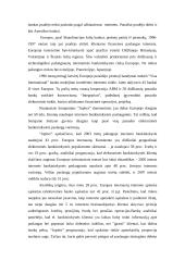 Virtuali finansinė institucija - elektroninė bankininkystė 5 puslapis