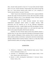 Virtuali finansinė institucija - elektroninė bankininkystė 6 puslapis