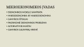 Mikroekonomikos įvadas 2 puslapis
