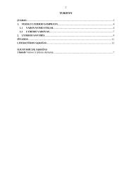 Verslo lyderis. Referatas