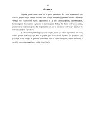 Verslo lyderis. Referatas 10 puslapis
