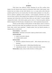 Verslo lyderis. Referatas 2 puslapis