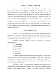 Verslo lyderis. Referatas 3 puslapis