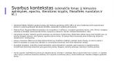 Vytauto Mačernio eilėraščio interpretacija – prezentacija 3 puslapis