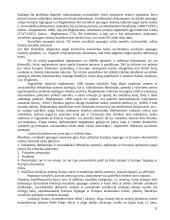 Europos Sąjungos (ES) socialinė politika 11 puslapis