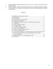 Europos Sąjungos (ES) socialinė politika 13 puslapis