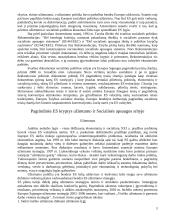 Europos Sąjungos (ES) socialinė politika 3 puslapis