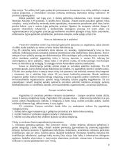 Europos Sąjungos (ES) socialinė politika 8 puslapis