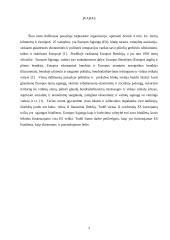 Europos Sąjungos biudžeto formavimo šaltiniai ir biudžeto struktūra 3 puslapis