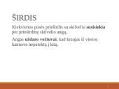 Širdies ir kraujagyslių sistema (skaidrės) 12 puslapis