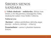 Širdies ir kraujagyslių sistema (skaidrės) 13 puslapis