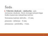 Širdies ir kraujagyslių sistema (skaidrės) 14 puslapis