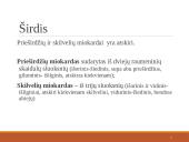 Širdies ir kraujagyslių sistema (skaidrės) 15 puslapis