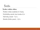 Širdies ir kraujagyslių sistema (skaidrės) 19 puslapis