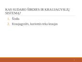Širdies ir kraujagyslių sistema (skaidrės) 2 puslapis