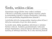 Širdies ir kraujagyslių sistema (skaidrės) 20 puslapis