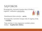 Širdies ir kraujagyslių sistema (skaidrės) 3 puslapis